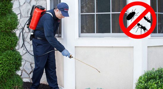Hopa Kene İlaçlama böcek ilaçlama ve haşere kontrolü — ilaclama-tr.com